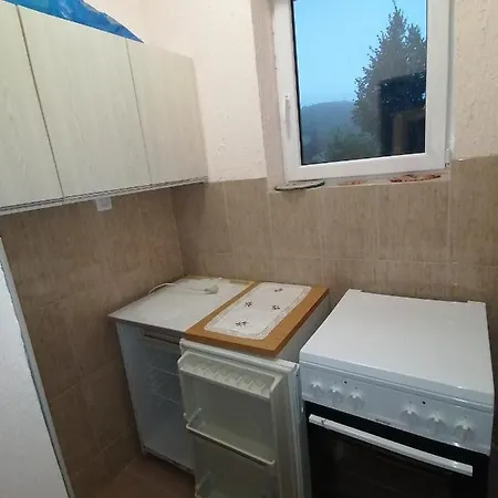 Apartment Visnja