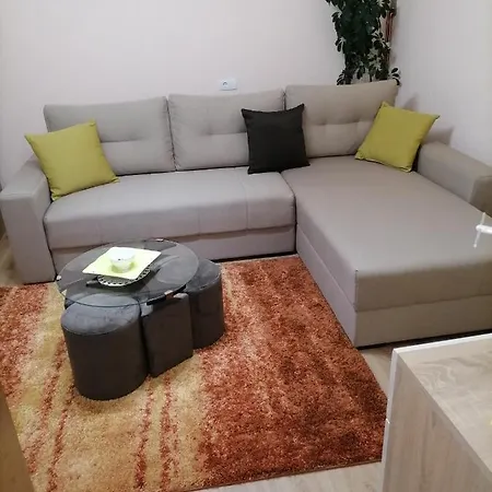 Apartment Visnja *