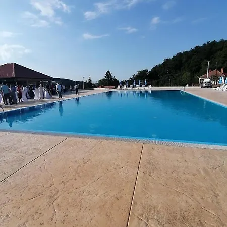 Visnja