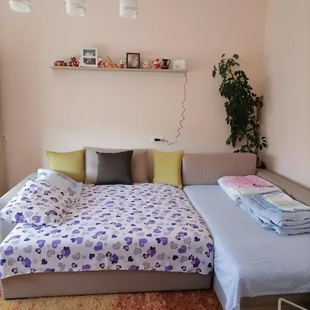 Visnja Apartment *
